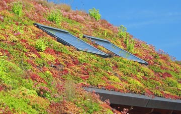 Glastry living roof systems