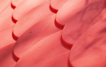 Glastry plastic roof costs