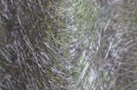 Glastry fibreglass roof work